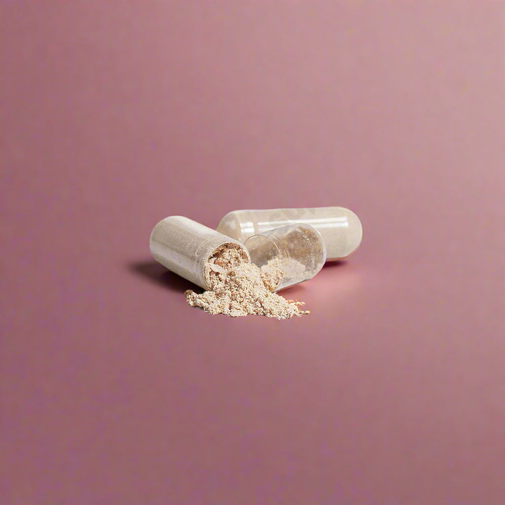 VitaNova Criniera di leone biologica - Stimolatore cognitivo naturale e antistress