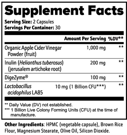 VitaNova Gut Elixir – Probiotic, Prebiotic & Digestive Enzyme Support (60 Capsules)